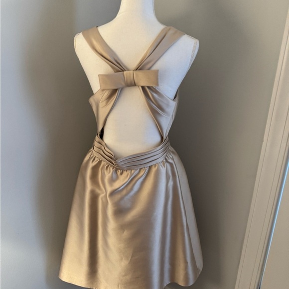 Backless Adrianna Papell, champagne, formal dress. Gorgeous. size 12 - Picture 4 of 16